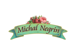 Add Michal Negrin to your favourite list
