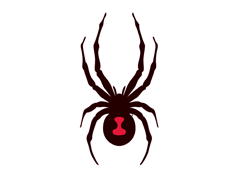 Add Spyder to your favourite list